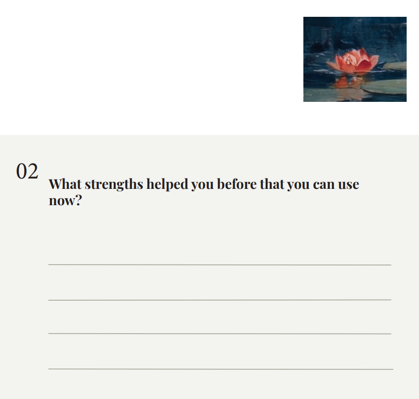 Life Transition Workbook + 1hr Roadmap Call